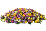 Freesia Double Ended funerals Flowers